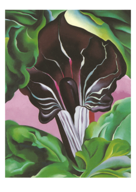 Postkarte Georgia O`Keeffe "Jack-in-the-Pulpit No. II, 1930 "  Kunst 