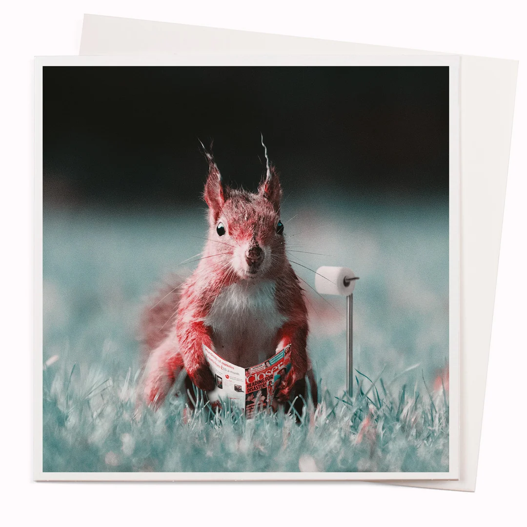 Do Not Disturb | Photographic Greeting Card | Julien Tabet